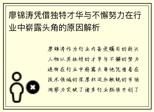 廖锦涛凭借独特才华与不懈努力在行业中崭露头角的原因解析